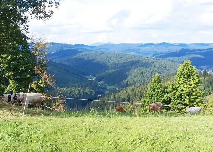 Chaloupka